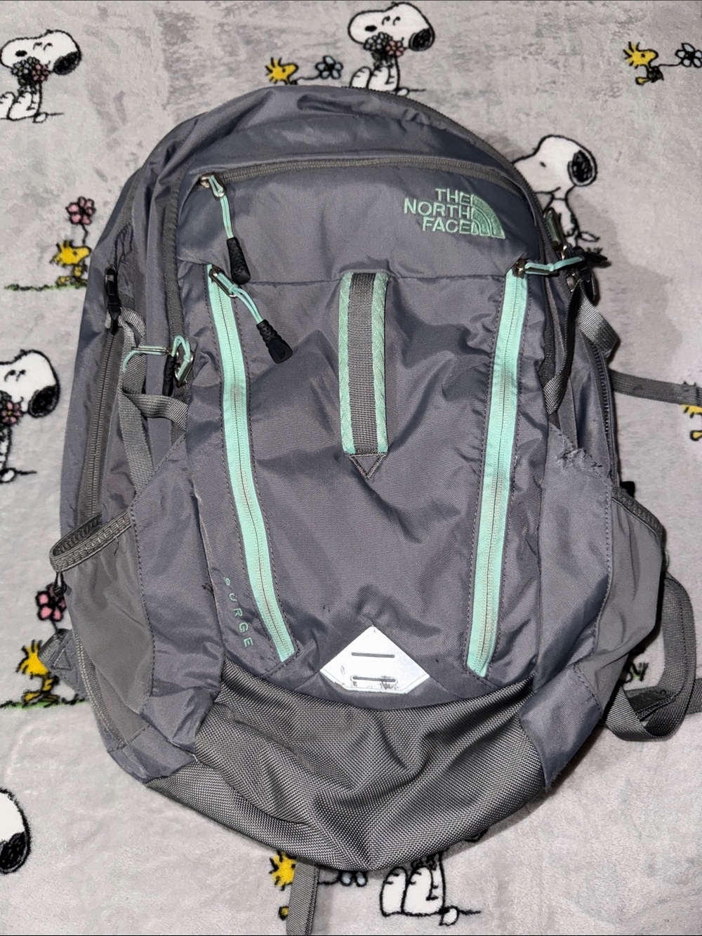 The North Face Gray Backpack with Mint Zippers